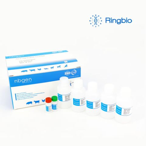 Brucella Antibody ELISA Kit