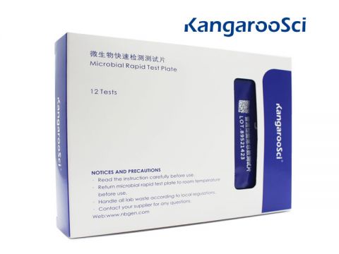 KangarooSci Microbial Count Plate Enterococcus faecalis Count Plate 
